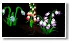 Lichterblumen