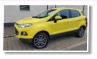 ein lieber Bumblebee