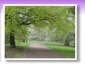Botanischer Garten mit Mama