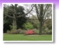 Botanischer Garten mit Mama