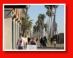 Venice Beach