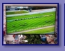 Grand National - Pferderennen