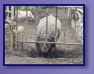 Edinburgh Zoo