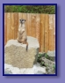 Edinburgh Zoo
