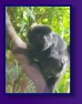 Edinburgh Zoo