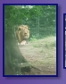 Edinburgh Zoo