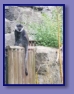 Edinburgh Zoo