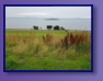 Spaziergang bei Crammond