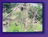 Edinburgh Zoo