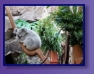 Edinburgh Zoo