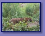 Edinburgh Zoo