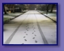 schau es schneit! ..Wir waren die Ersten!!!