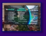 Euro 2020: 1. Spiel sterreich : Nord Mazedonien