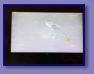 Nordische Ski WM 2021