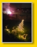 Silvester