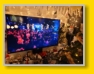 Silvester