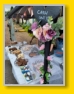 Ceres Highlandgames