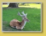 Safari Park - Blair Drummond