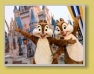 WDW - Magic Kingdom