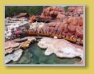 WDW - Magic Kingdom