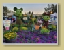 WDW - Magic Kingdom