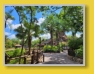 WDW - Animal Kingdom
