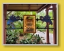 WDW - Animal Kingdom