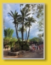 WDW - Animal Kingdom
