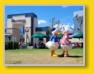 WDW - Hollywood Studios - ohhhh
