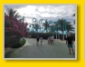Cruise - 2. Tag an Land: CocoCay