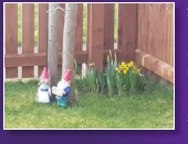 Unser Frhlingseck im Garten
