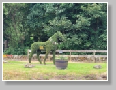 Safari Park 